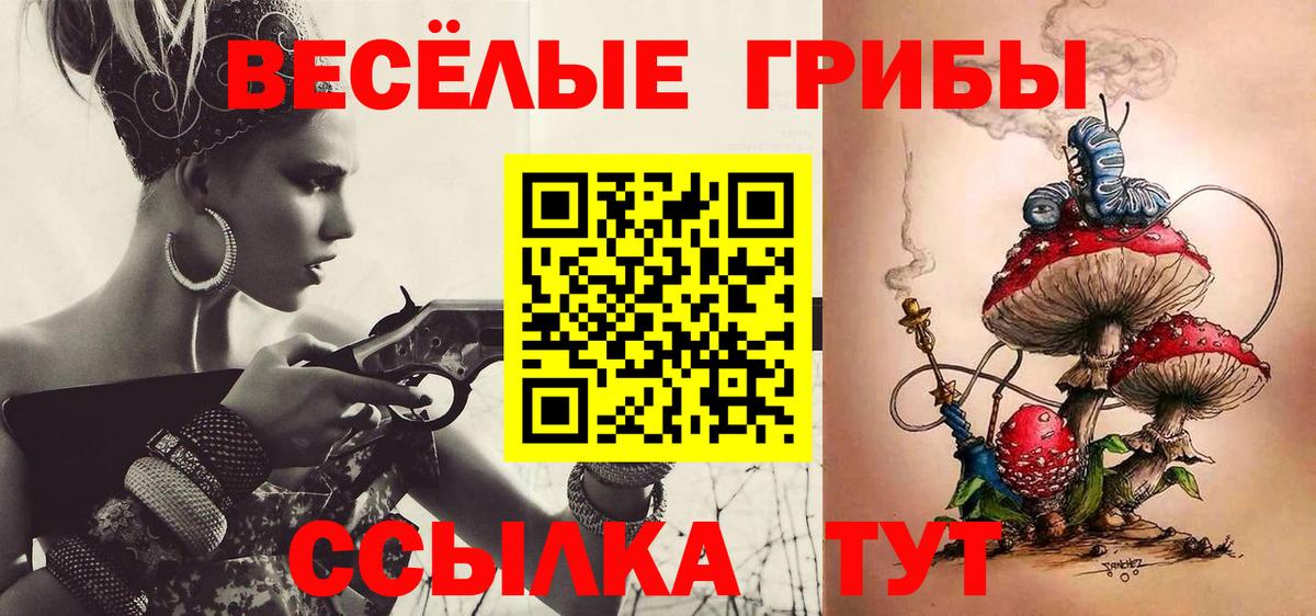 Галлюциногенные грибы Psilocybine cubensis  где продают   Гулькевичи  Вход с VPN 